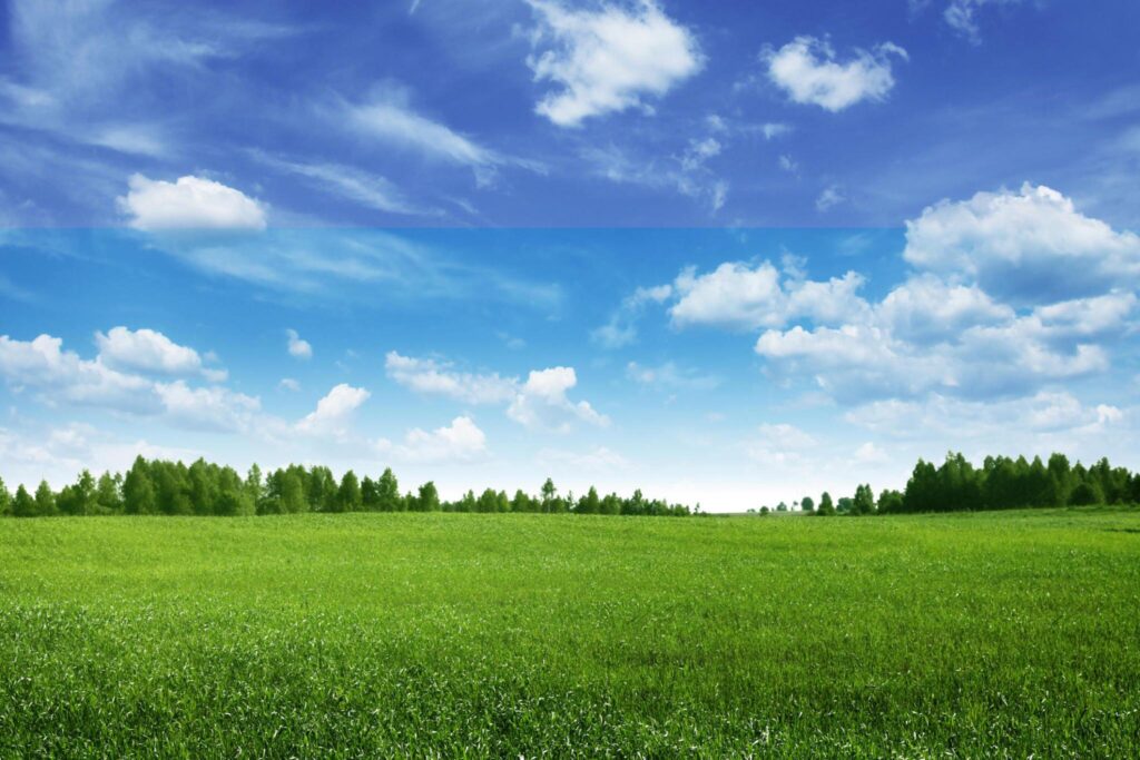 process of buying land in Kenya with green grassy field